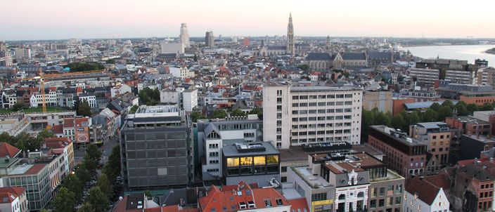 Rooftop view over Antwerp's old core at dusk: dense red-tiled roofs, the tall Gothic cathedral spire rising centre-right, the river visible at the right edge under a pink sky