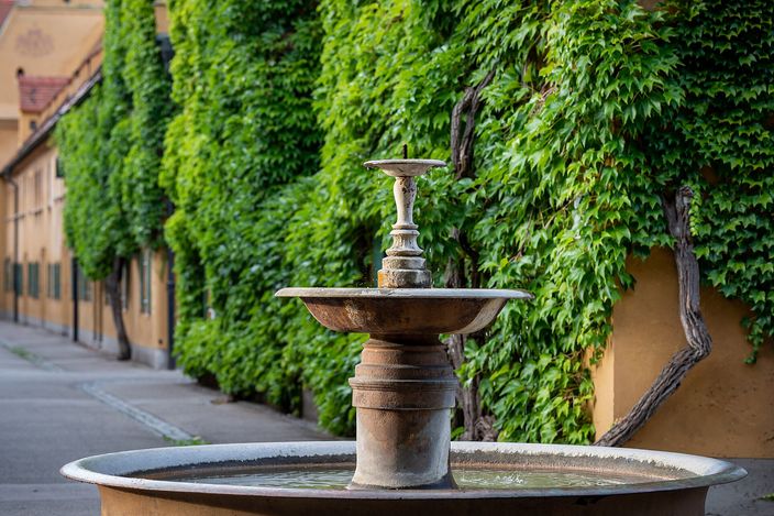 A stone fountain in a lane of the Fuggerei in Augsburg, a wall of dense green creeper behind it and low ochre houses receding down the lane in soft evening light