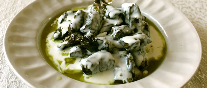 A white fluted plate of small, tightly rolled vine-leaf dolma parcels in olive oil, topped with a spoonful of thick white yoghurt.
