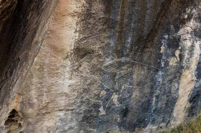 A carved animal figure etched into a dark, weathered rock face at Gobustan, one of the reserve's ancient petroglyphs.
