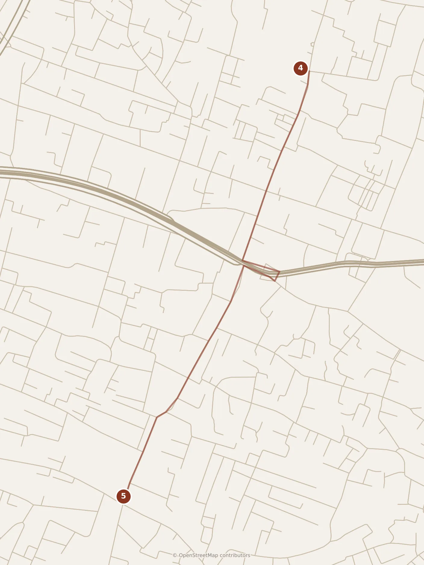 Map of Cairo, afternoon: stops 4–5, numbered in walking order.