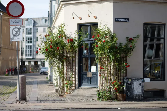 A corner house on Svendsgade in Vesterbro with climbing red roses around its door and a quiet cobbled pavement