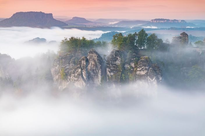 Sandstone towers and pinnacles of the Bastei massif rising out of a sea of low cloud at sunrise, dark pines rooted on their flat tops, the flat-topped Lilienstein and further ridges standing above the fog in the distance, and a pink and orange dawn sky.