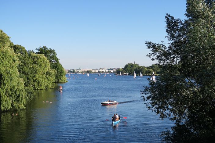 The Aussenalster in Hamburg on a clear summer afternoon, seen between willows from a bridge at the north end: a broad open lake with a dozen small sailing dinghies, a canoe and a motor launch on it, wooded banks on both sides and the low city skyline faint on the far horizon.
