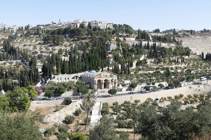 The western slope of the Mount of Olives: terraced ground planted with olive trees and dark cypresses falling from a ridge of pale stone houses, with a colonnaded church carrying a gabled mosaic front standing among the trees at the foot of the hill and a road with parked coaches beside it.