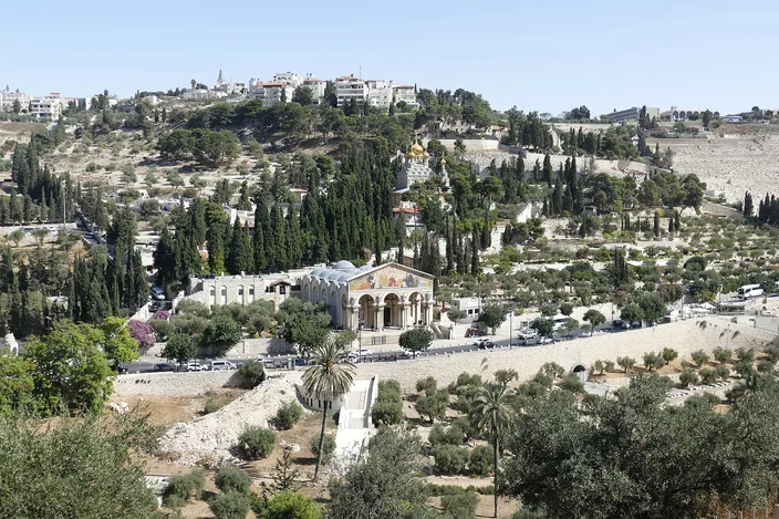 The western slope of the Mount of Olives: terraced ground planted with olive trees and dark cypresses falling from a ridge of pale stone houses, with a colonnaded church carrying a gabled mosaic front standing among the trees at the foot of the hill and a road with parked coaches beside it.