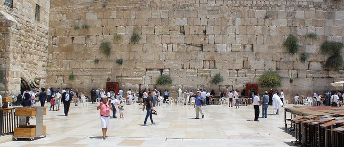 The Western Wall plaza in bright daylight: a tall face of massive weathered limestone blocks with tufts of caper growing from the joints runs the full width of the frame, with worshippers and visitors standing at its foot and a broad pale flagstone square in front.