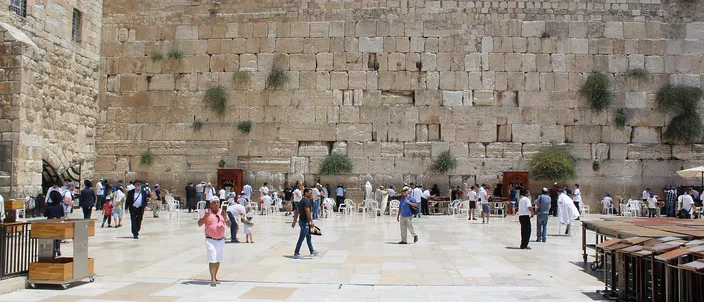 The Western Wall plaza in bright daylight: a tall face of massive weathered limestone blocks with tufts of caper growing from the joints runs the full width of the frame, with worshippers and visitors standing at its foot and a broad pale flagstone square in front.