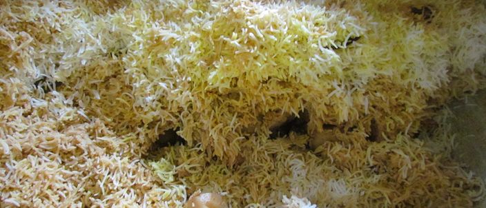 A large vessel of Kolkata biryani seen from above: pale, long-grain rice with pieces of meat, a boiled egg and a whole potato.