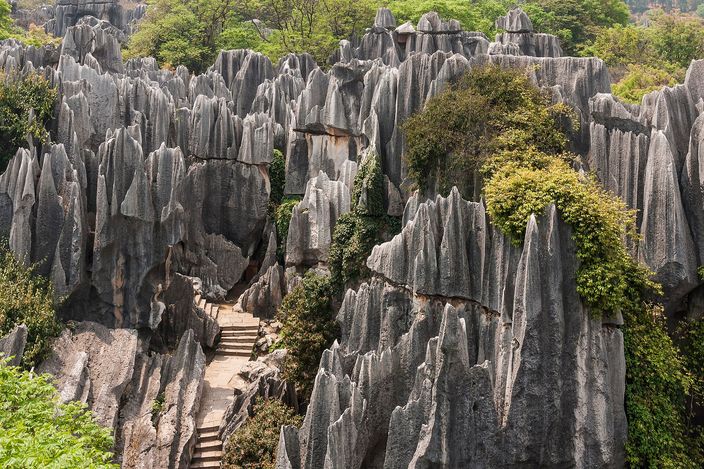Ranks of grey fluted limestone pinnacles rising out of scrubby green vegetation, with a narrow stone stairway cut between two of them climbing away from the camera.