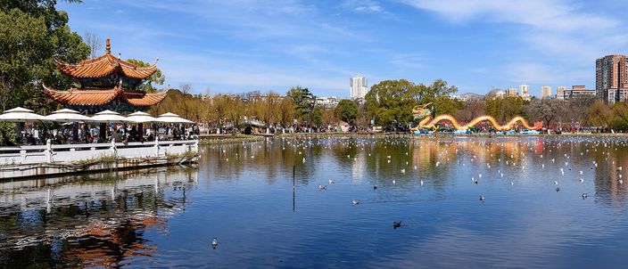 A city park lake in bright sun, a red-and-gold tiered pavilion standing on a white balustraded causeway at the left, hundreds of white gulls on and above the water, and bare winter trees along the far shore with apartment towers behind them.