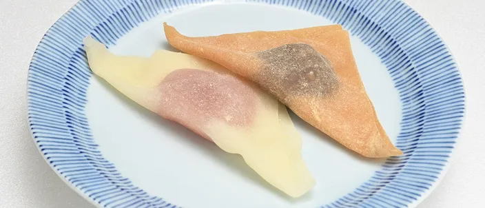 Two folded triangular pieces of nama yatsuhashi on a blue-rimmed plate, the soft cinnamon dough wrapped around red bean and a pink seasonal filling.