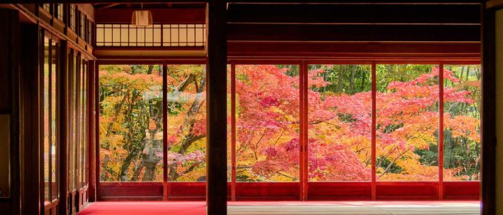 Looking out through the open timber frame of a temple hall onto a garden of scarlet and orange maples, a red felt mat on the floor of the room to the left and bare tatami and boards to the right
