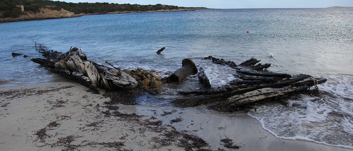 A weathered wooden shipwreck skeleton lies at the edge of a pale sandy beach, its exposed ribs and dark hull timbers half-buried in seaweed, with calm sea lapping the sand and a low green headland under a partly cloudy sky.