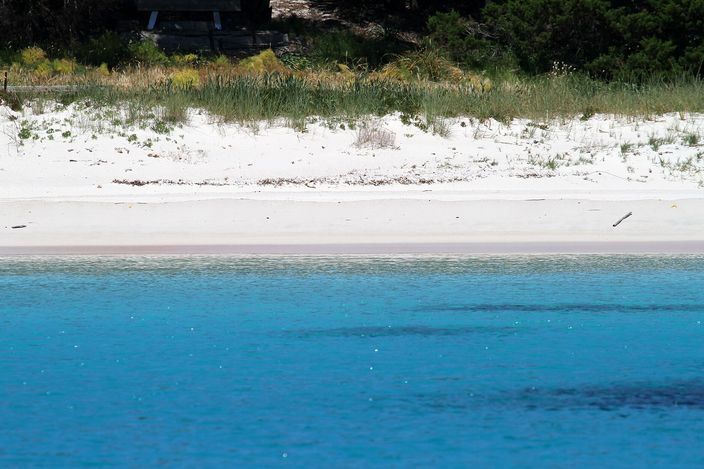 A low, near-water-level view of Spiaggia Rosa: a pale pink-white sand strip backed by low dune vegetation, with clear turquoise water filling the foreground, seen from a boat offshore.