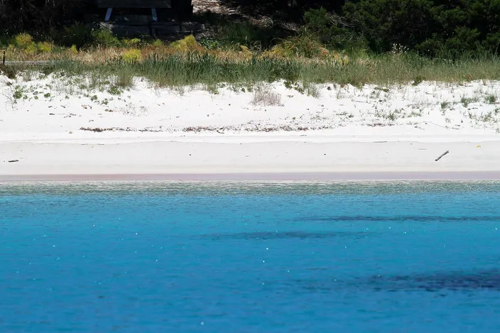 A low, near-water-level view of Spiaggia Rosa: a pale pink-white sand strip backed by low dune vegetation, with clear turquoise water filling the foreground, seen from a boat offshore.