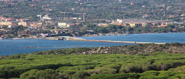 An elevated view over pine-covered macchia toward the low causeway that crosses the strait to Caprera, with hills and a settlement in the distance.