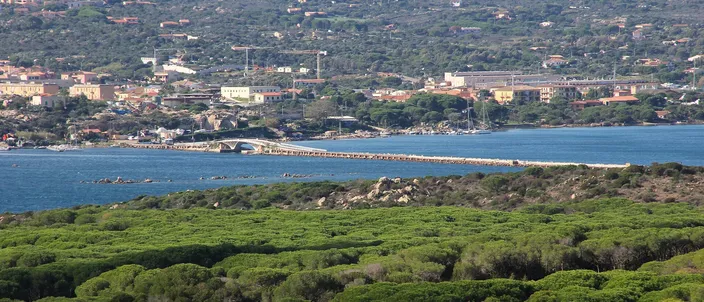 An elevated view over pine-covered macchia toward the low causeway that crosses the strait to Caprera, with hills and a settlement in the distance.