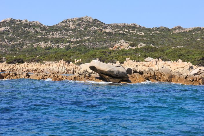 A large, smoothly weathered pink granite boulder rising out of turquoise water off Budelli, with a low ridge of similar wind-sculpted granite rocks beside it and green macchia-covered hills behind.