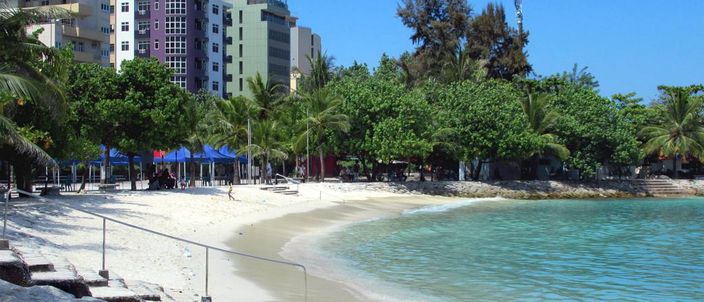 A curve of pale sand on Male's Artificial Beach: shallow turquoise water on the right, blue parasols and trees along the back of the sand, and the dense mid-rise buildings of the capital rising immediately behind, with a concrete edge and steps down to the beach in the foreground.
