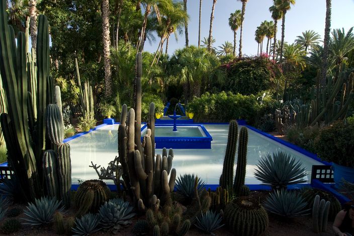 The main pool of the Jardin Majorelle, its rim, fountain and planters painted deep cobalt blue with yellow pots along the edge, surrounded by tall columnar cacti, agaves and palms against dense green planting.