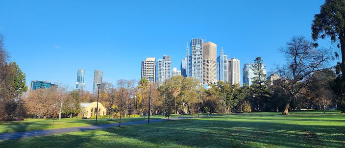 Melbourne's cluster of CBD towers rising behind a wide sunlit lawn and scattered trees in a city park, under a clear blue sky.