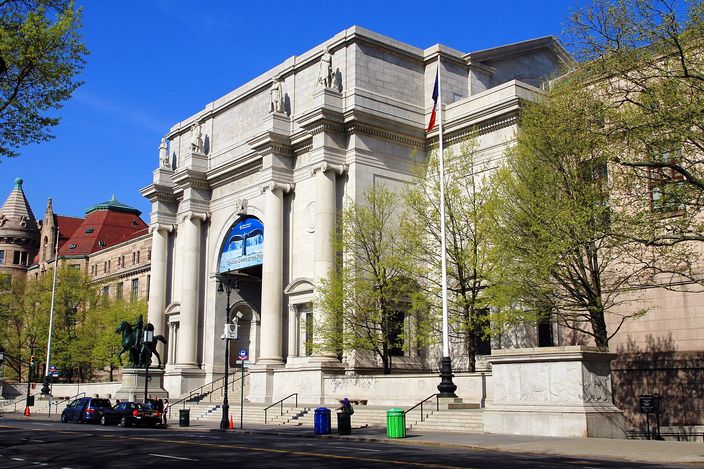 The columned entrance of the American Museum of Natural History behind bare spring trees, its pale stone facade and equestrian statue seen from the street corner under a clear sky.