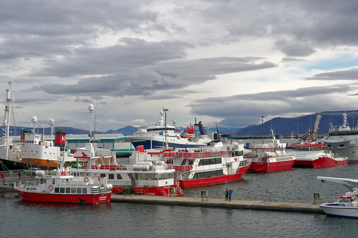 Red-and-white passenger and whale-watching boats moored side by side along a quay in Reykjavík harbor, with larger white vessels and cranes behind them and dark mountains under heavy cloud across the water.