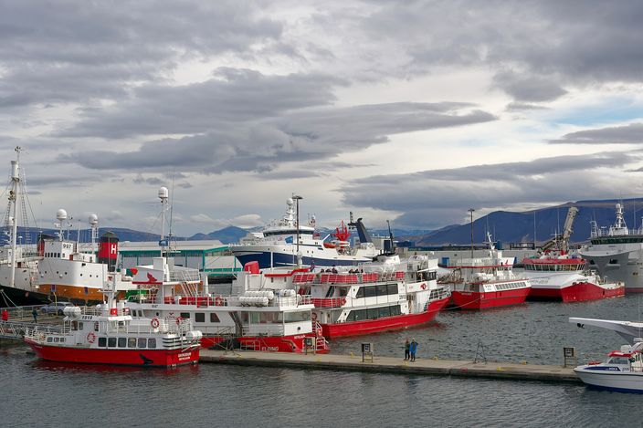Red-and-white passenger and whale-watching boats moored side by side along a quay in Reykjavík harbour, with larger white vessels and cranes behind them and dark mountains under heavy cloud across the water.