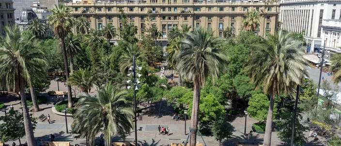 Santiago's Plaza de Armas seen from above: a dense grove of tall palms over paved walks and benches, with a long pale neoclassical range running along the far side of the square and the city's blocks rising behind it
