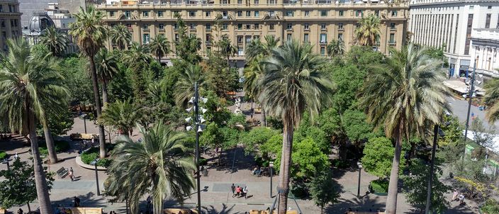 Santiago's Plaza de Armas seen from above: a dense grove of tall palms over paved walks and benches, with a long pale neoclassical range running along the far side of the square and the city's blocks rising behind it