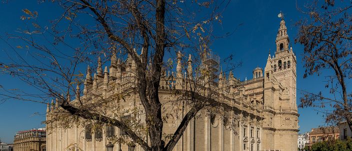 The long east flank of Seville cathedral in low winter sun, a wall of pale stone with pinnacles and buttresses above an arcaded base, the brick Giralda bell tower rising at the far end, a bare tree in the foreground and people crossing the sunlit square below.