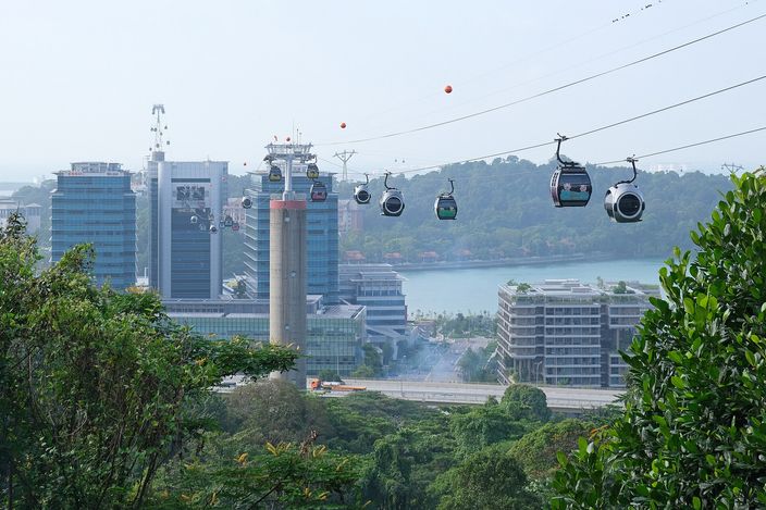 Cable cars strung along their line above the harbour, seen from Mount Faber over treetops, with HarbourFront's office blocks below, a green channel of water and the wooded edge of Sentosa beyond