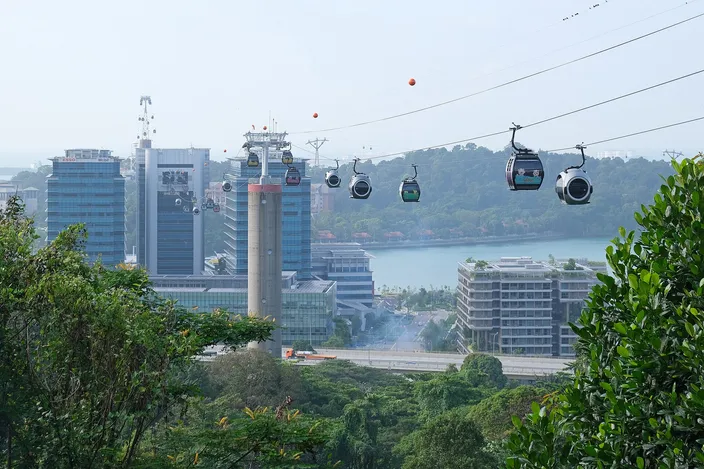 Cable cars strung along their line above the harbor, seen from Mount Faber over treetops, with HarbourFront's office blocks below, a green channel of water and the wooded edge of Sentosa beyond