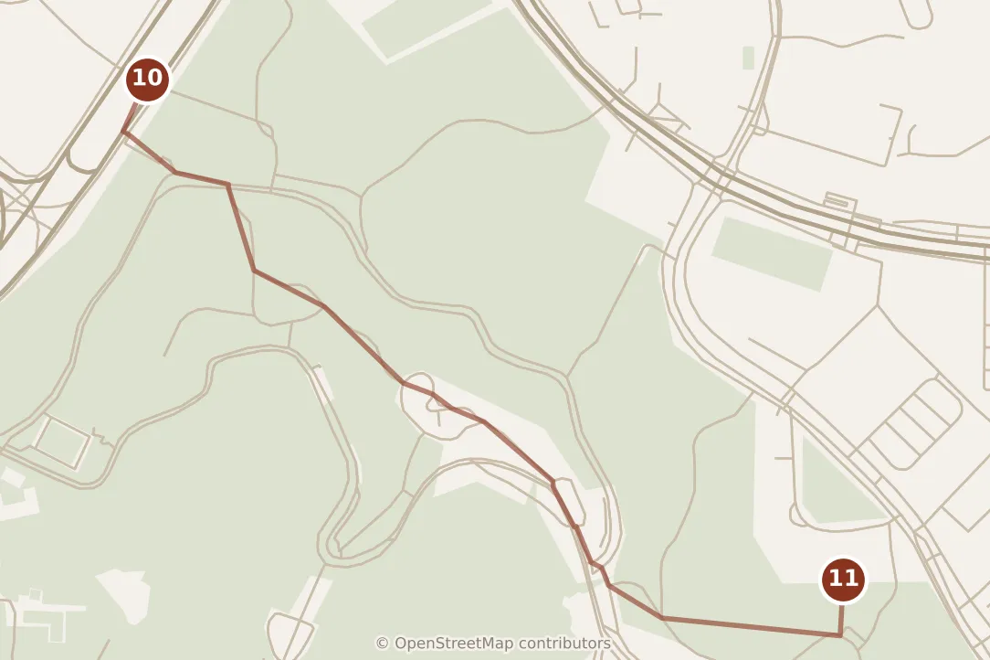 Map of Singapore, evening: stop 11, numbered in walking order.