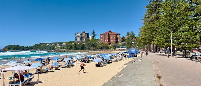A wide sandy beach at Manly with sunbathers and beach umbrellas, a tall row of Norfolk Island pines lining the promenade behind, a red-brick apartment building further back, and the ocean breaking gently at left under a clear blue sky.