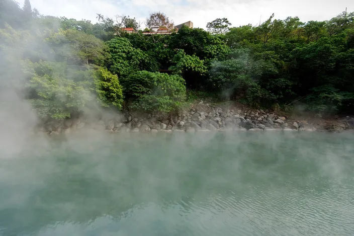 A pale milky-green pool giving off thick steam, banked by dark wet rocks with dense green forest rising behind on the far side.