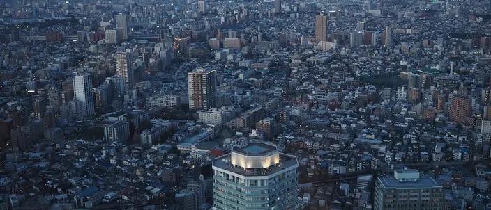 Tokyo seen from high above Ikebukuro: a gray-and-white city stretching unbroken to the horizon in every direction, low blocks packed edge to edge with clusters of towers rising here and there, and no center anywhere in the frame.