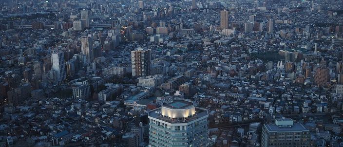 Tokyo seen from high above Ikebukuro: a grey-and-white city stretching unbroken to the horizon in every direction, low blocks packed edge to edge with clusters of towers rising here and there, and no centre anywhere in the frame.