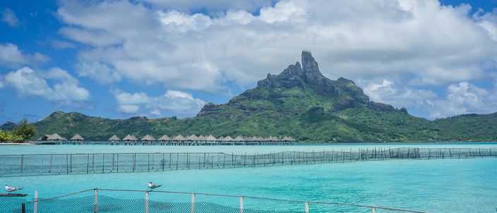 Mount Otemanu rising over a ring of overwater bungalows, with a turquoise lagoon and a fish-pen fence crossing the foreground.