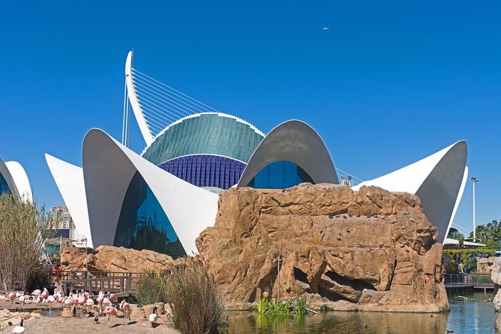White curved concrete shells rising like petals above a low glass building, with a bare rock outcrop and a shallow pool of flamingos in front of them under a deep blue sky.