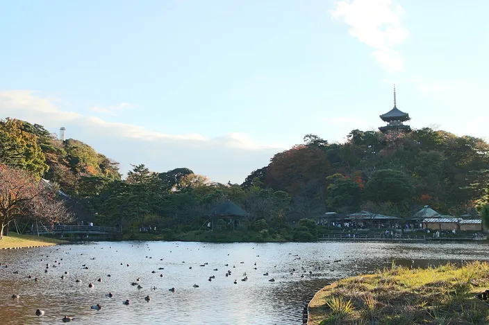 A wide garden pond with ducks on it in late-afternoon autumn light, thatched pavilions and a low bridge along the far shore, and a three-story wooden pagoda standing on the wooded hill above them.