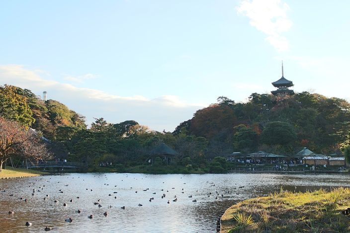 A wide garden pond with ducks on it in late-afternoon autumn light, thatched pavilions and a low bridge along the far shore, and a three-storey wooden pagoda standing on the wooded hill above them.