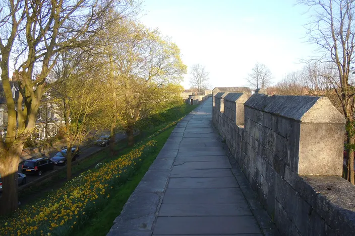 The paved walkway on top of York's city walls running between a low crenellated parapet and a grassy bank of daffodils, trees and a road below